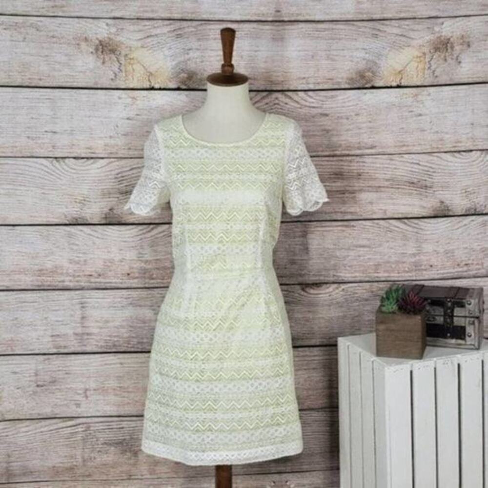 Lush Lace Cut Out Neon Lace Overlay Small